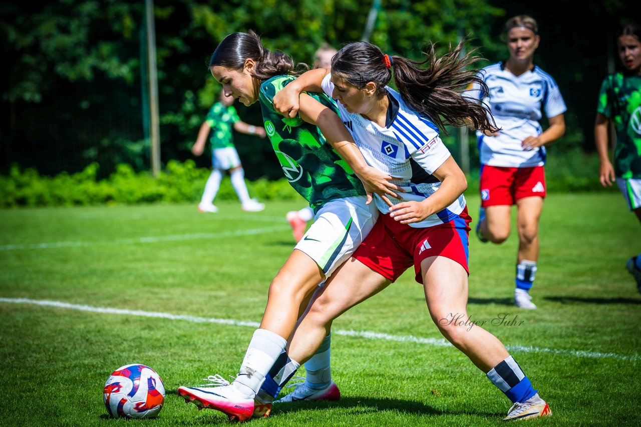 Bild 238 - wBJ Hamburger SV - VfL Wolfsburg : Ergebnis: 5:1
